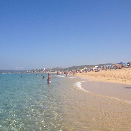 Sardegna-Ferienwohnung Mit Emotionale Meeres Blick Торре-дей-Корсари Экстерьер фото